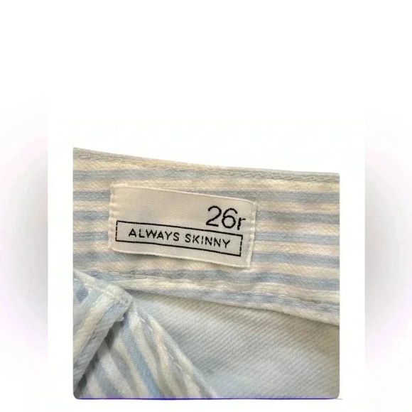 Gap woman’s powder blue stripe floral pant sz 26 ALWAYS SKINNY ❤️pants only ❤️ - Picture 2 of 9